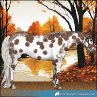 Horse Color:Silver Black Sabino Frame 