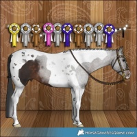 Horse Color:Brown Tobiano 