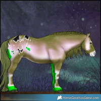 Horse Color:Watercolor Red Onyx Appaloosa