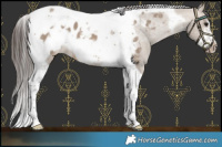 Horse Color:Brown Dun Tobiano Frame Blanket 