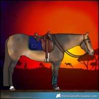 Horse Color:Buckskin 