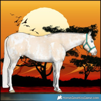 Horse Color:White Spotted Silver Buckskin Ice Pearl Sabino Splash 