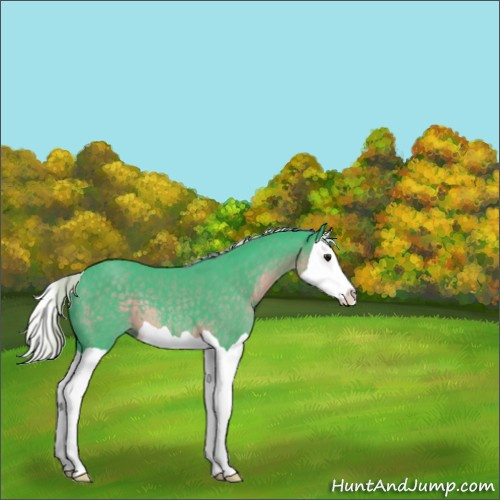 Horse Color:Watercolor Silver Smoky Black Splash 