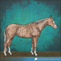 Horse Color:Silver Black Tobiano and Silver Classic Champagne