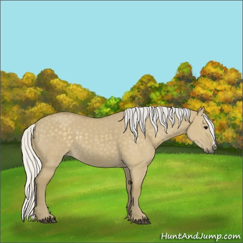 Horse Color:Silver Smoky Grullo
