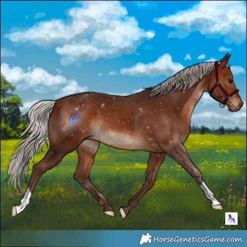 Horse Color:Silver Brown 