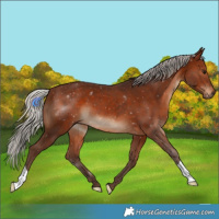 Horse Color:Silver Brown