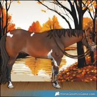 Horse Color:Bay Tobiano