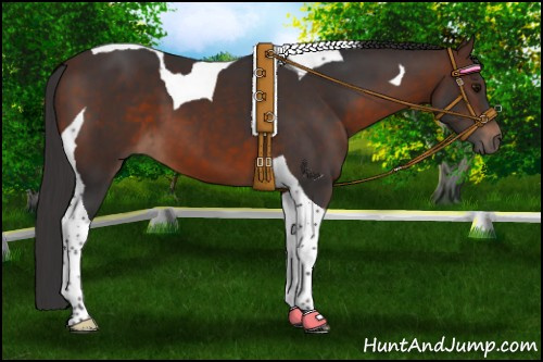 Horse Color:Brown Tobiano 
