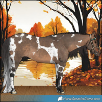 Horse Color:Brown Dun Tobiano 