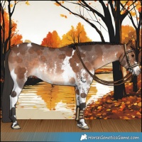 Horse Color:Brown Sabino Tobiano Rabicano 