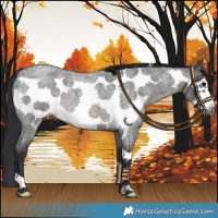 Horse Color:Platinum Brown Roan Frame