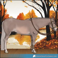 Horse Color:Platinum Chestnut Tobiano 