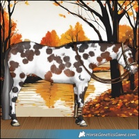 Horse Color:White Spotted Bay Mushroom Sabino Frame Rabicano