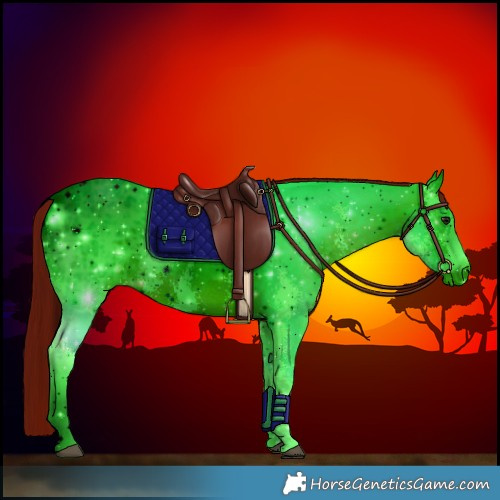 Horse Color:ERROR: UNKNOWN ANOMALY