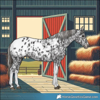 Horse Color:Smoky Black Tobiano Appaloosa Rabicano 