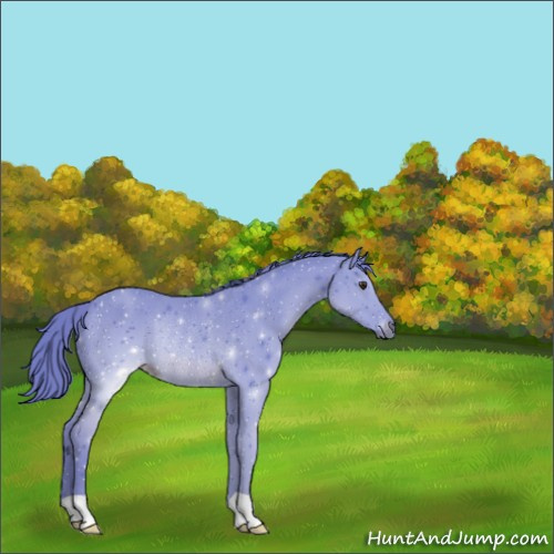 Horse Color:Watercolor Liver Chestnut Rabicano 
