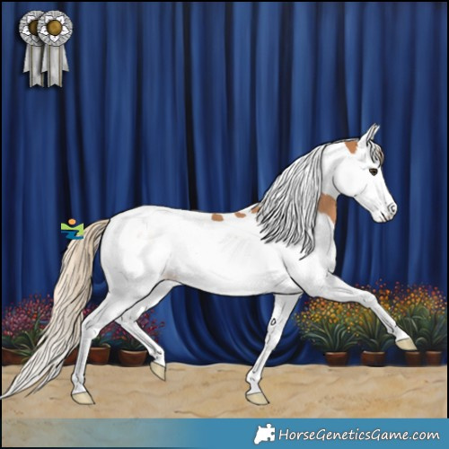 Horse Color:Chestnut Splash Tobiano Rabicano 