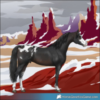 Horse Color:Brown Sabino Blanket 