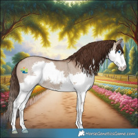 Horse Color:Liver Red Dun Splash 