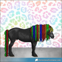 Horse Color:Gray Painted Black 