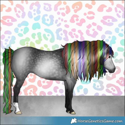 Horse Color:Gray Painted Black 