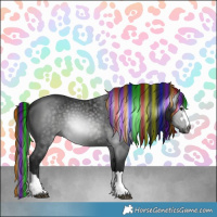 Horse Color:Gray Painted Black