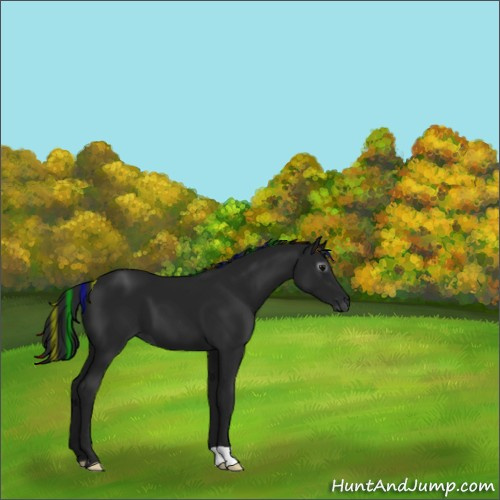 Horse Color:Gray Painted Black 