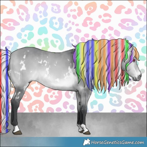 Horse Color:Platinum Painted White Spotted Silver Bay Chinchilla 