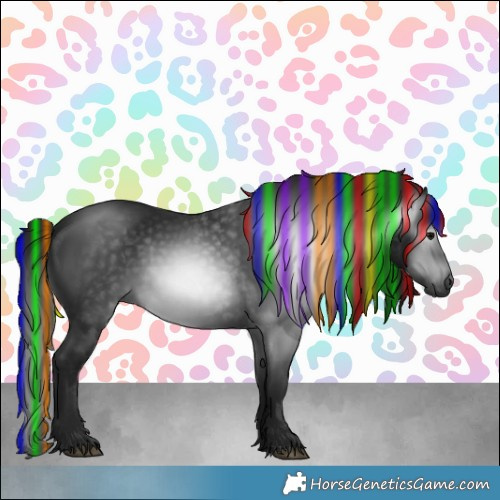 Horse Color:Gray Painted Black 