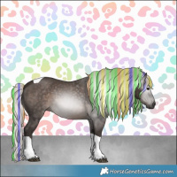 Horse Color:Gray Painted Silver Black Tobiano