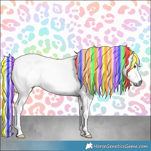 Horse Color:Painted Chestnut Chinchilla 