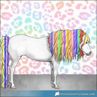 Horse Color:Painted Chestnut Chinchilla
