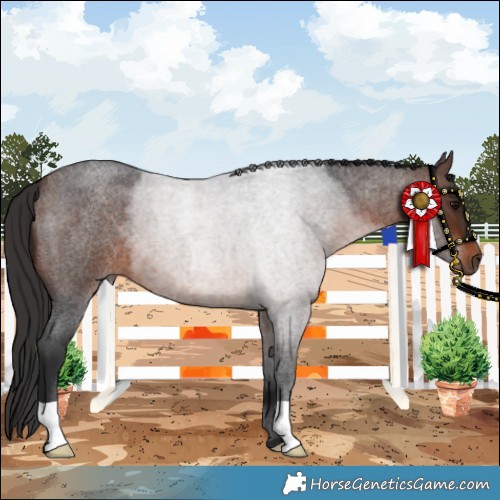 Horse Color:Brown Roan 