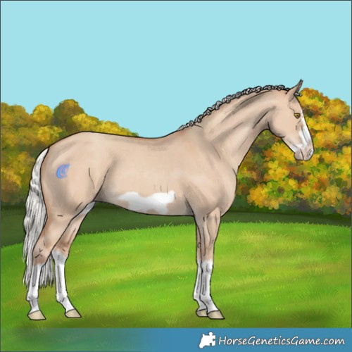 Horse Color:Silver Classic Champagne Dun Splash Frame 