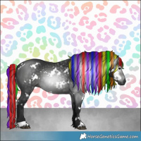 Horse Color:Gray Painted White Spotted Black