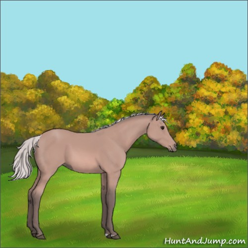 Horse Color:Platinum Silver Bay 