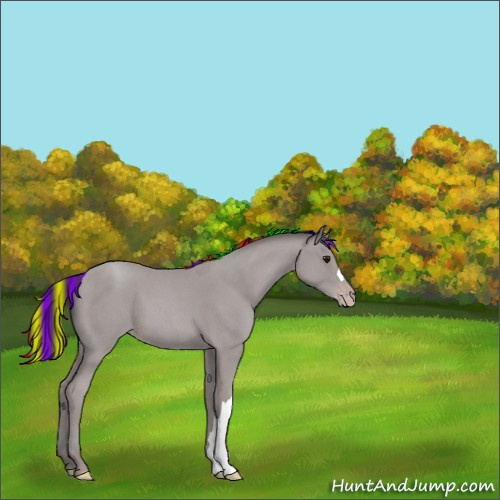 Horse Color:Platinum Painted Classic Champagne Roan 