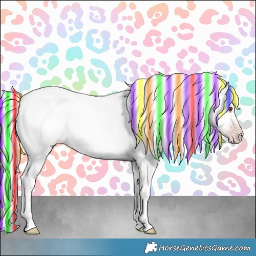 Horse Color:Platinum Painted Gold Champagne Chinchilla Roan 