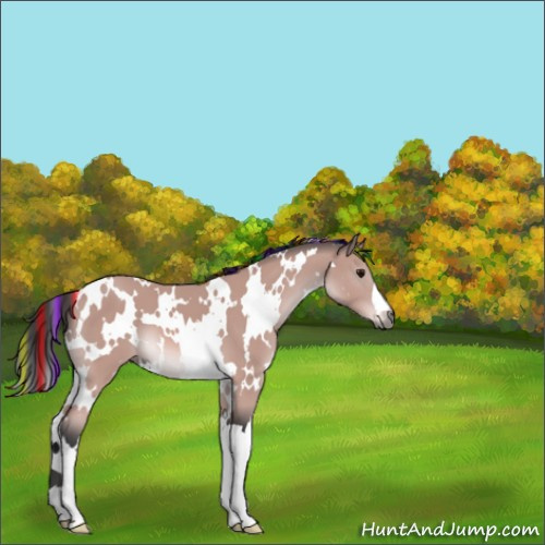 Horse Color:Platinum Painted White Spotted Bay 