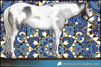 Horse Color:Gray Silver Buckskin Tobiano Frame