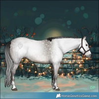Horse Color:Gray Brown Dun