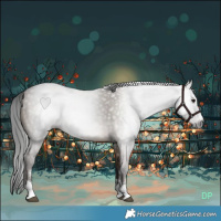 Horse Color:Gray Brown Dun