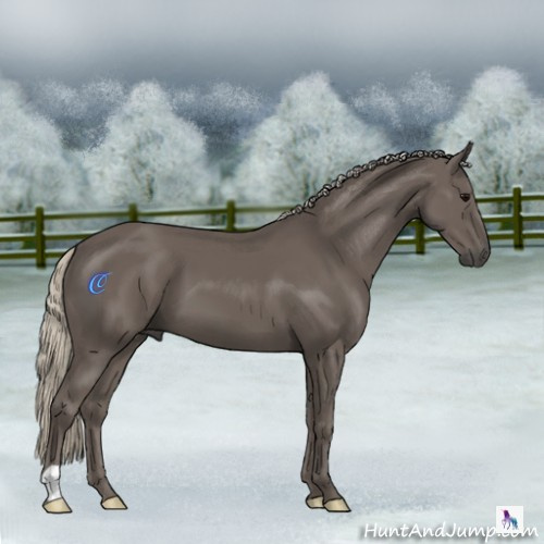 Horse Color:Silver Smoky Black 