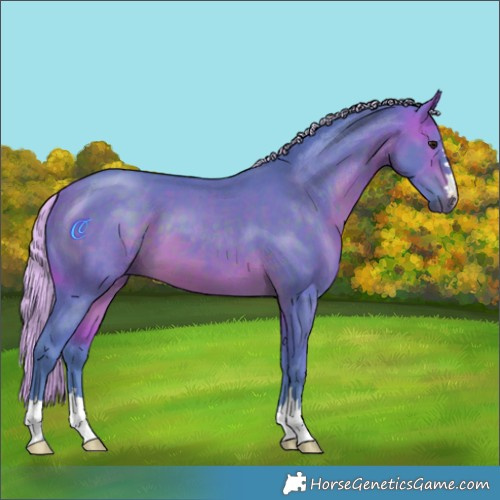 Horse Color:Watercolor Silver Brown 
