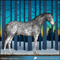Horse Color:Gray White Spotted Liver Chestnut 
