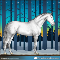 Horse Color:Gray White Spotted Liver Chestnut 