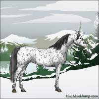 Horse Color:Blue Roan Near Leopard 