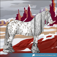 Horse Color:Grullo Leopard 