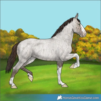 Horse Color:Sable Champagne Ice Roan Dun Splash Tobiano